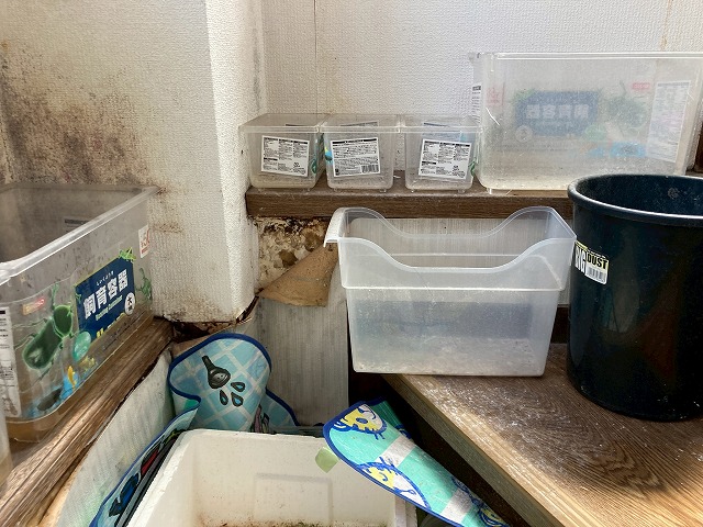 雨漏りを受けている容器